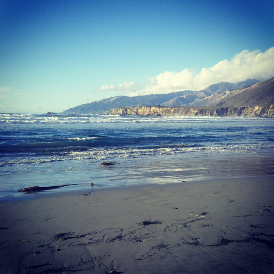 sand dollar beach