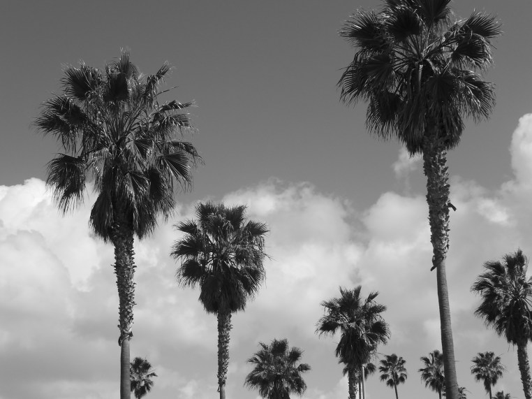 ocean beach california