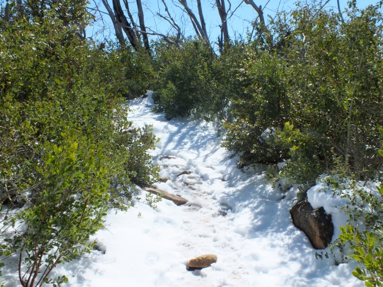 Stonewall Peak Cuyamaca Hike