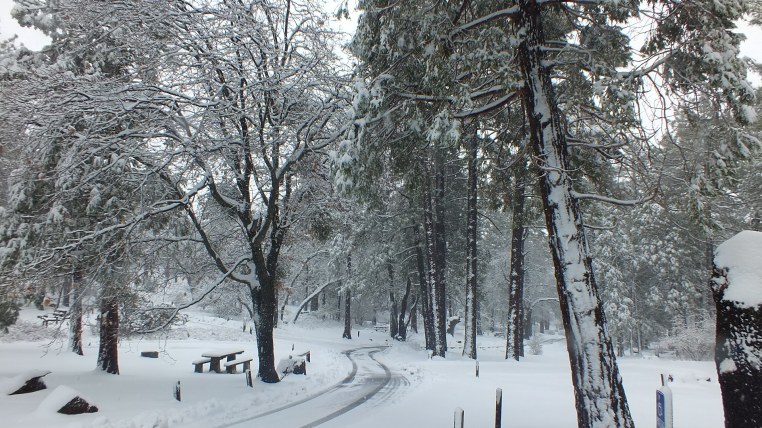 Cuyamaca Paso picacho snow