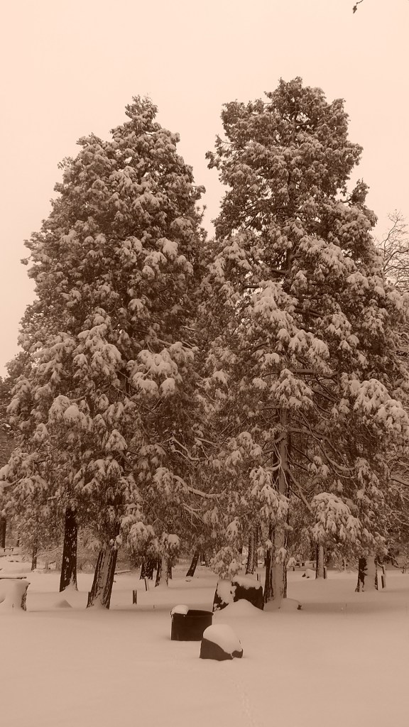 Paso Picacho SNOW cuyamaca