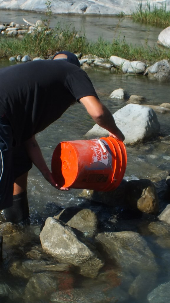 Panning for gold