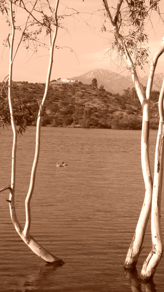 Lake Jennings Nature pics