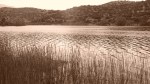 Lake Jennings Pic