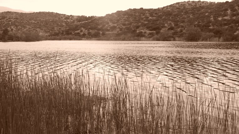 Lake Jennings Pic