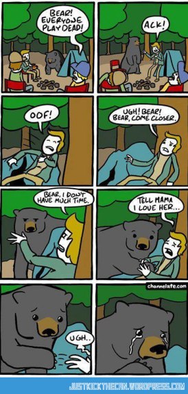 bear cartoon