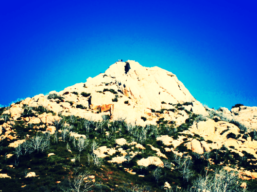 top 5 blogs for camping hiking main pic