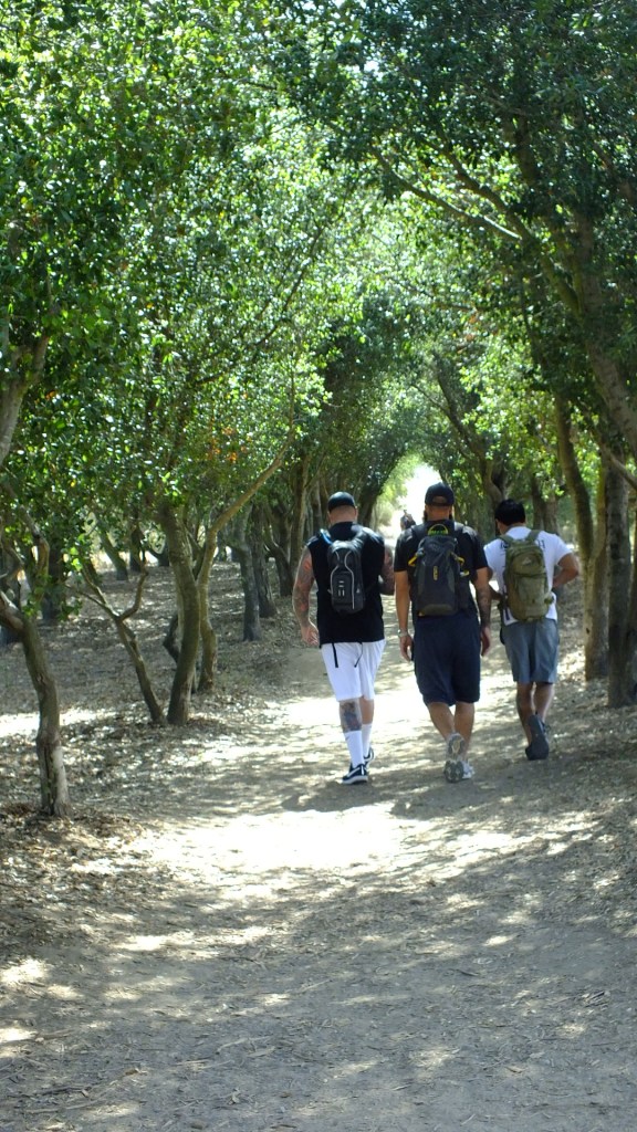 Iron Mountain gallery pic