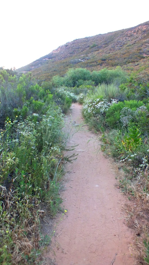 cowels mountain gallery