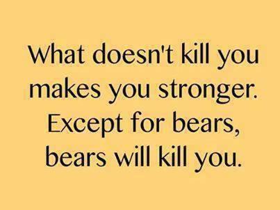1150951_10151538819836333_1391118157_n