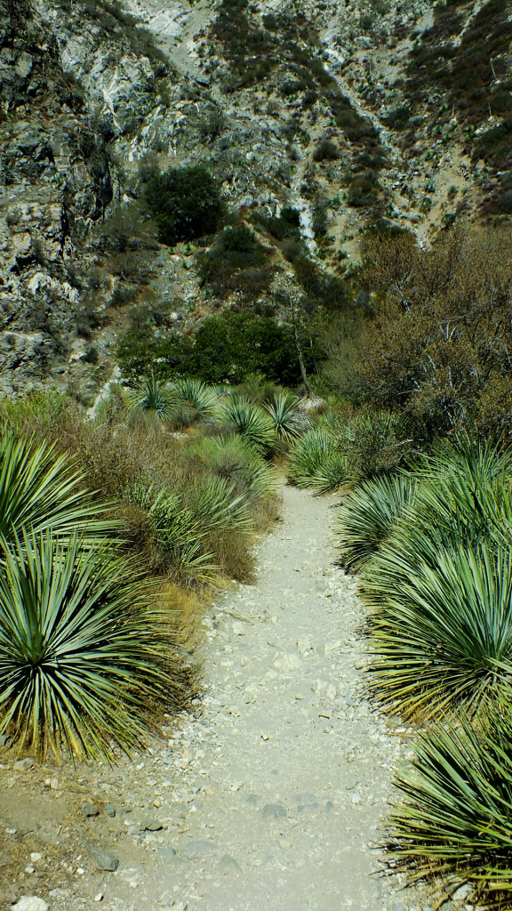 San Gabriel mountains night hike