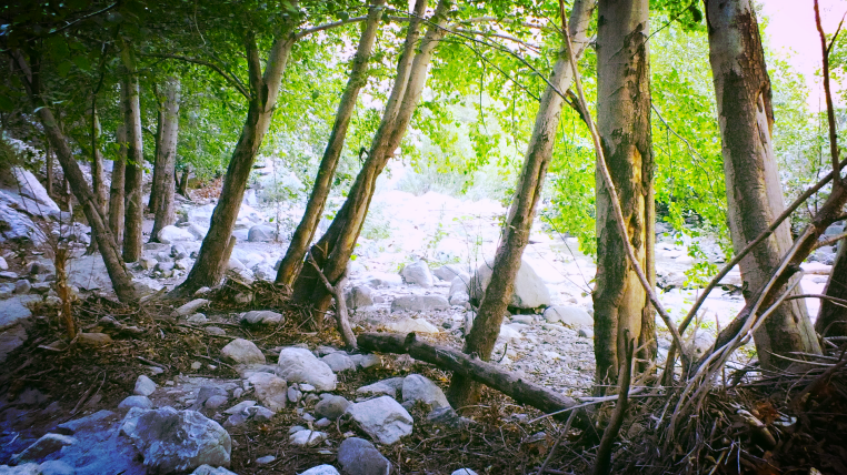 San Gabriel mountains night hike