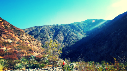 hiking the narrows cover