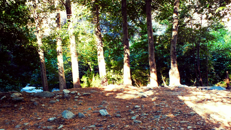 scenery makes the trip cover