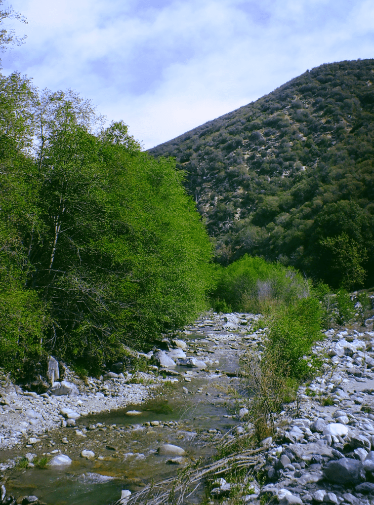 campsite review heaton flats