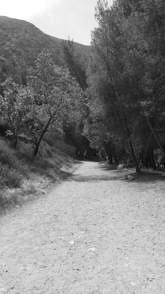 campsite review heaton flats