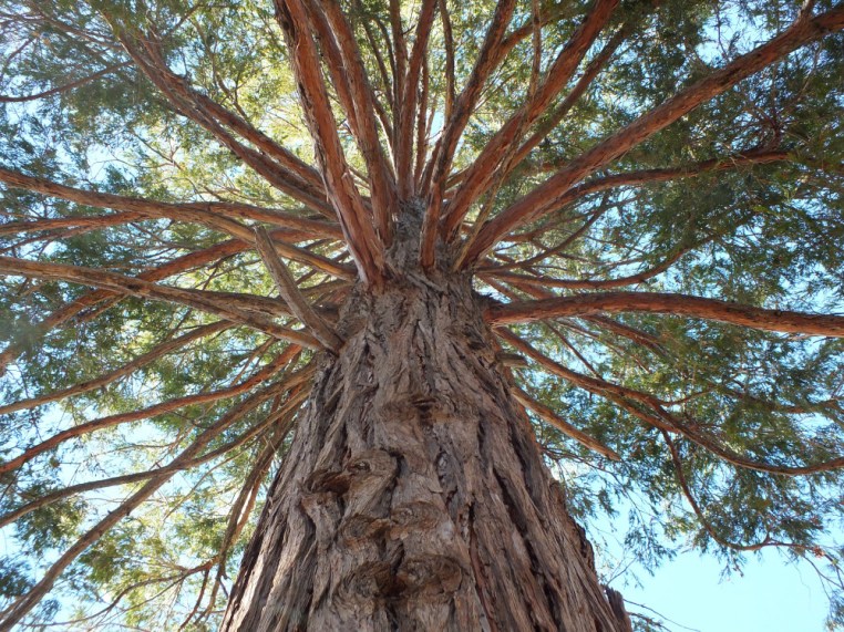 camping hiking favorite things post COVER