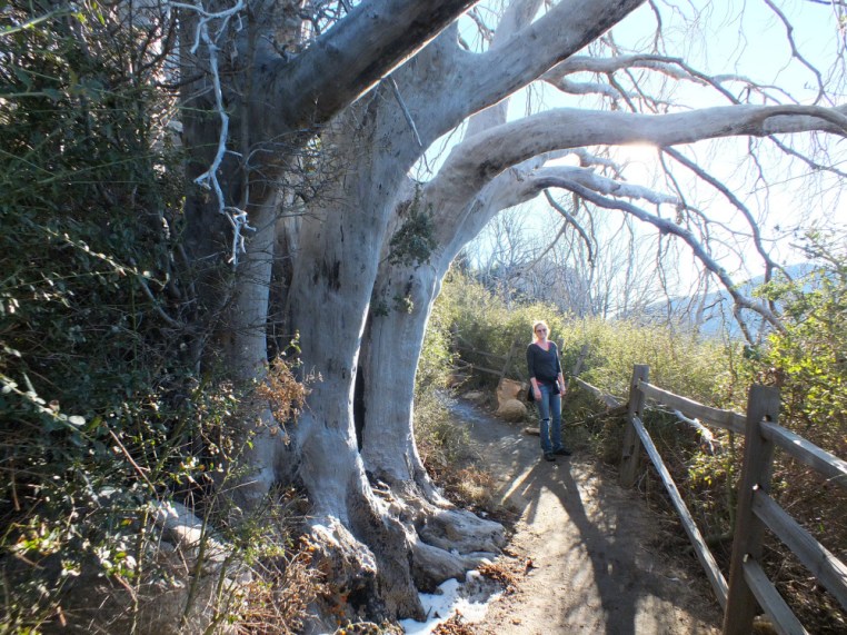 camping hiking favorite things post