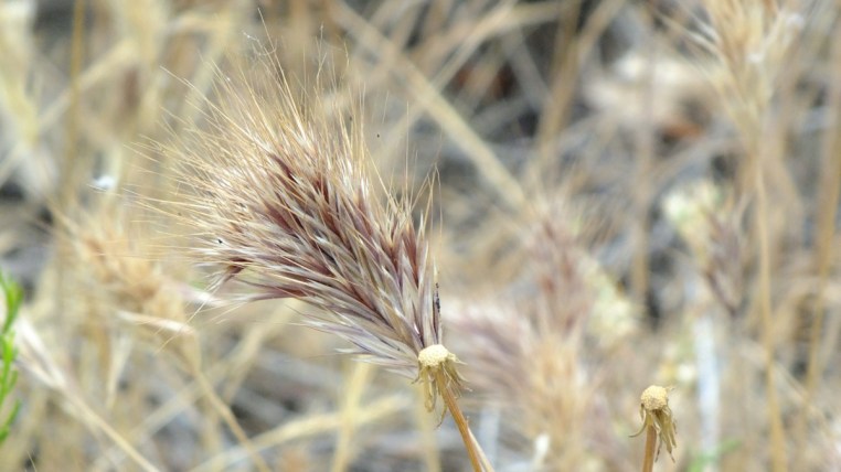 camping hiking favorite things post