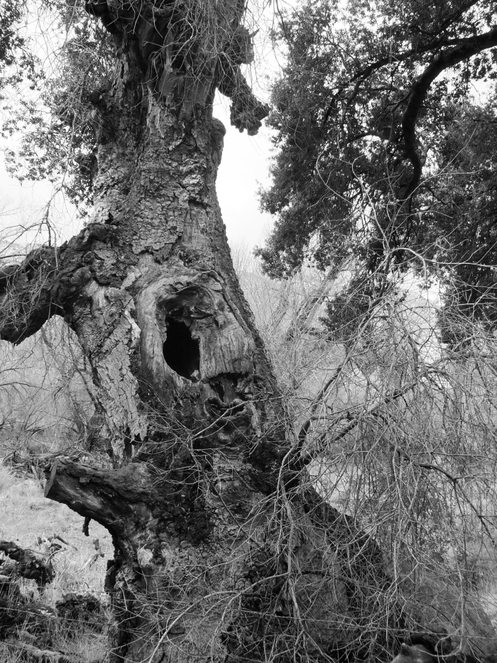 camping hiking favorite things post