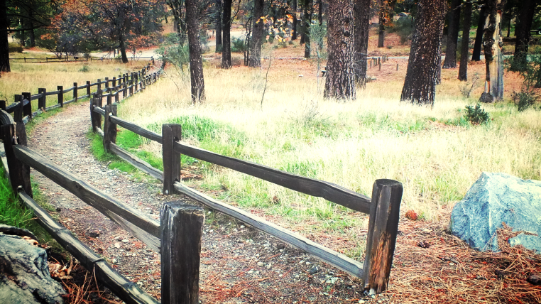 sneak peak cuyamaca camping trip