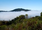 Hiking in the Clouds Purisima Creek Redwoods Hike No 22