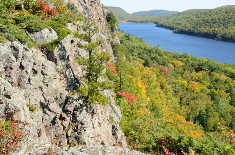 peace in a tin can guest blog