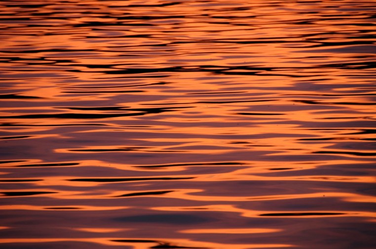 peace in a tin can guest blog