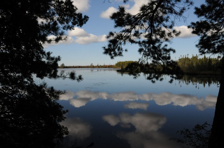 peace in a tin can guest blog