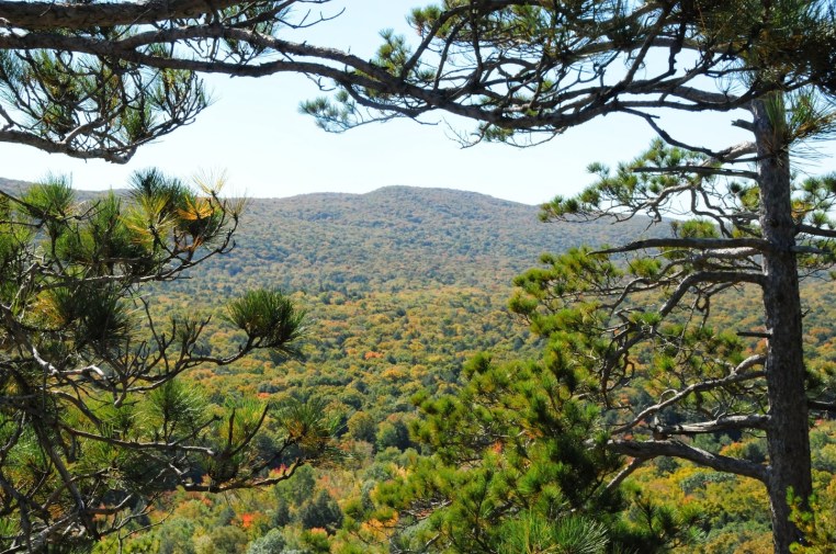 peace in a tin can guest blog