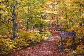 peace in a tin can guest blog