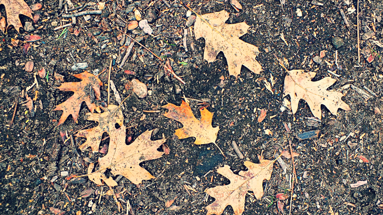 cuyamaca camping gallery