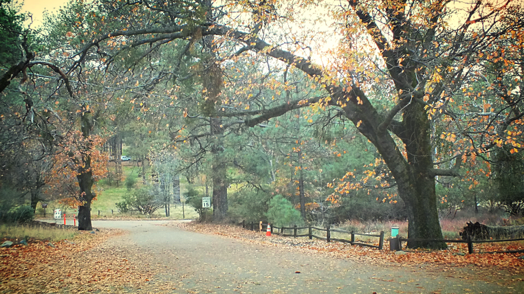 cuyamaca camping gallery