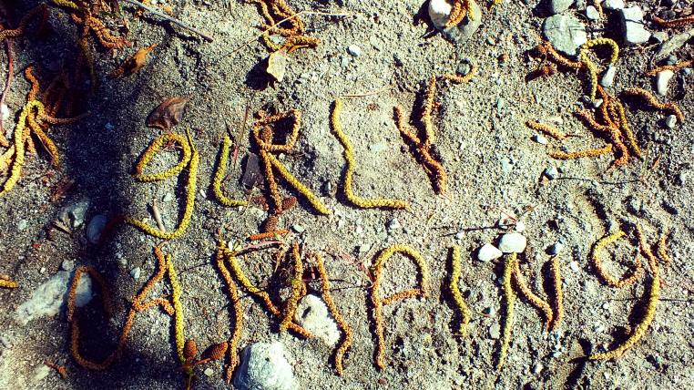 weird- this was just lying out in the open