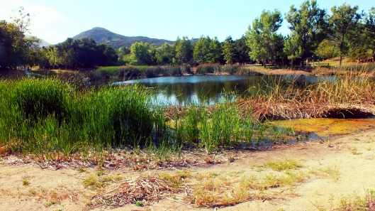 dos picos camping cover