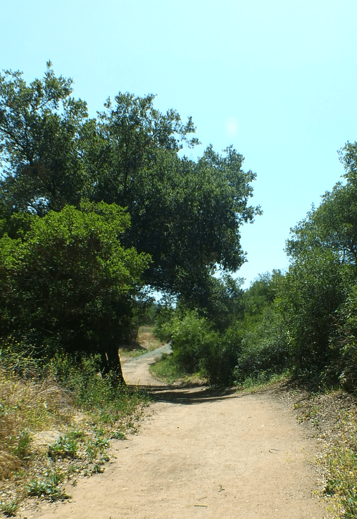 dos picos hiking trail