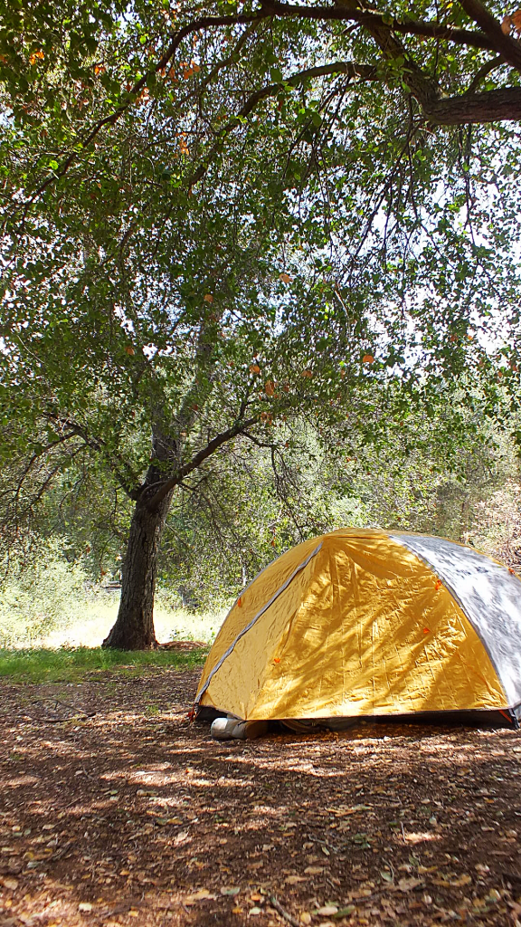 dos picos nature photos