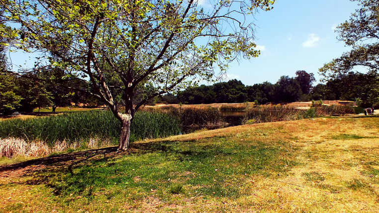 dos picos nature photos