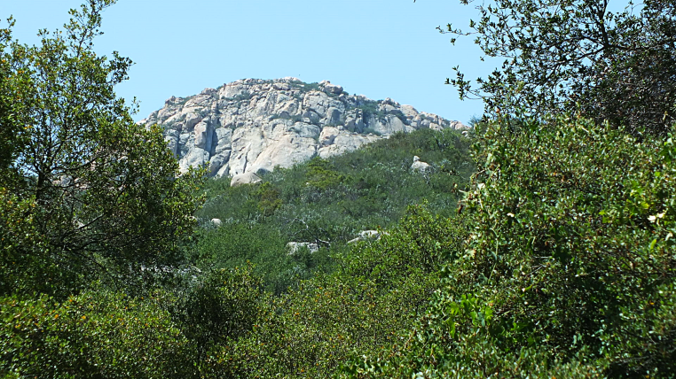 dos picos nature photos