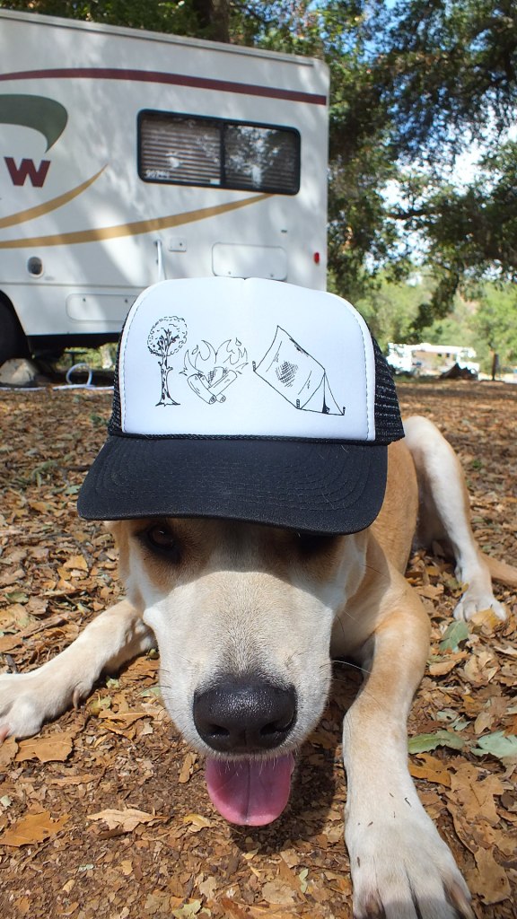 girly camping hats cover