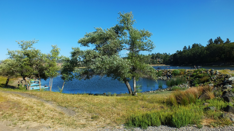 Lake Cuyamaca