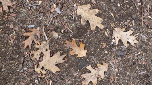 transition from summer to fall