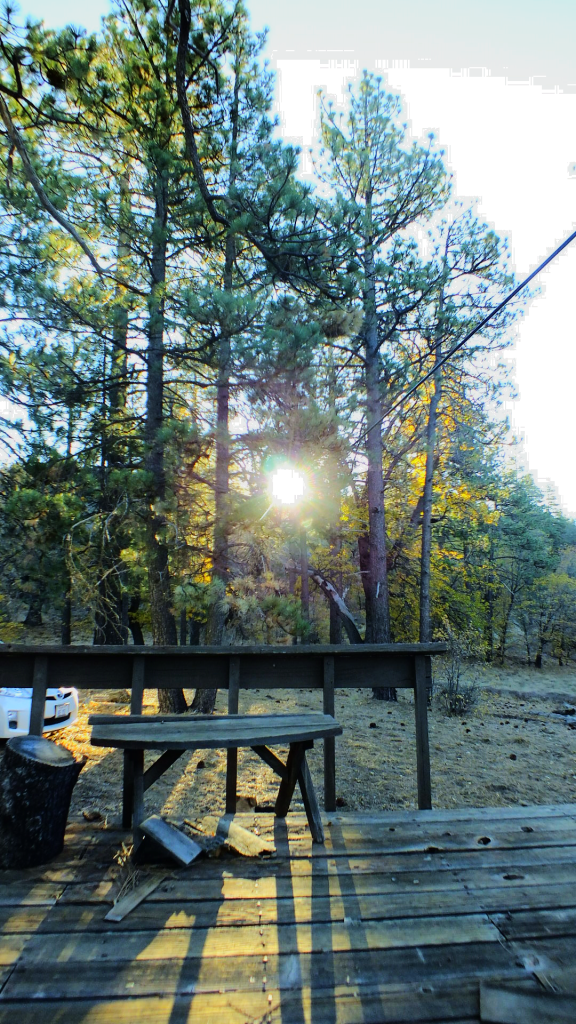 Fall Nature