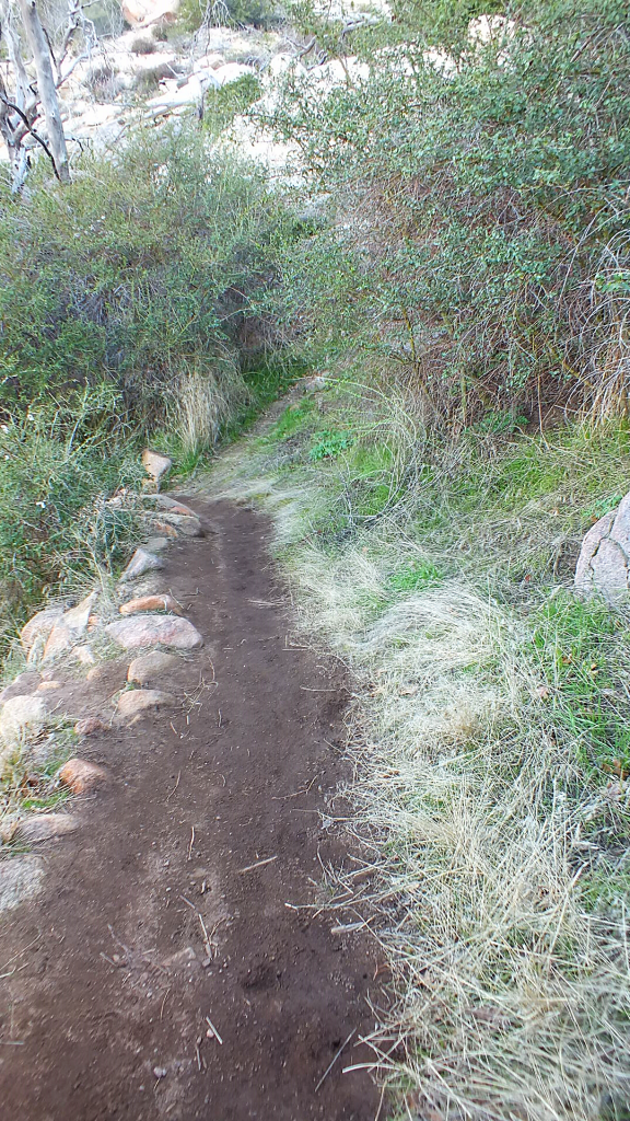 Camping at Paso Picacho Campground
